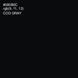 #090B0C - Cod Gray Color Image
